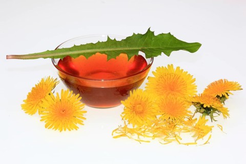 Bowl of dandelion syrup