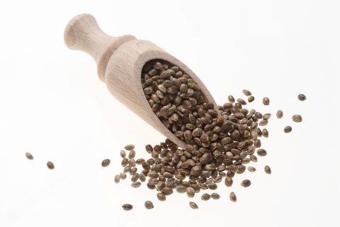 Hemp seeds (Cannabis sativa)