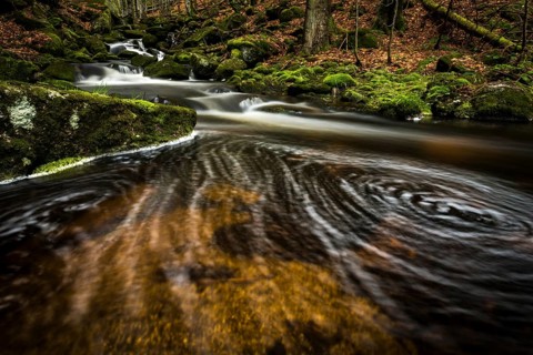 Vortex in mountain stream and mossy stones in mountain forest