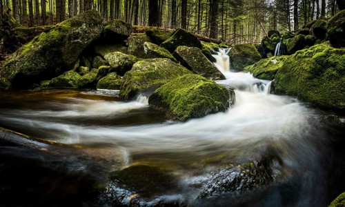 Mountain stream with mossy stones in mountain forest