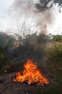 Burning rubbish in the African bush