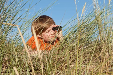 Boy in the dune grasses