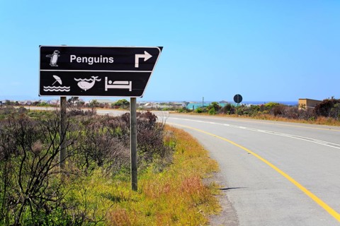 Direction signs