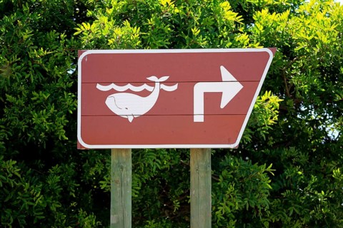 Direction sign