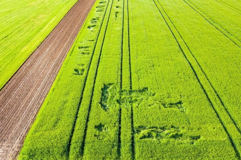 Drone shot