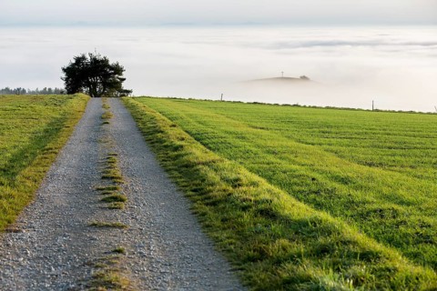 Foggy view of Bisberg with summit cross
