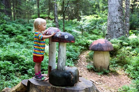 Toddler at carved wooden mushrooms