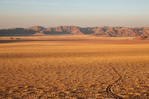 Grass covered desert plain at the edge of the Namib Desert