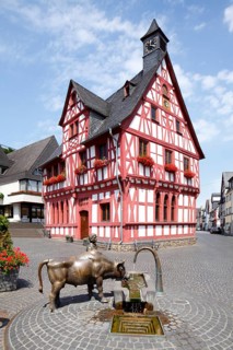City Hall with Viehtranke fountain and Rhenser ox on the market square