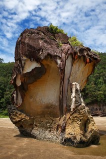 Bako National Park