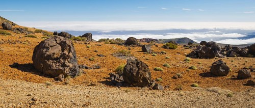 Huevos del Teide
