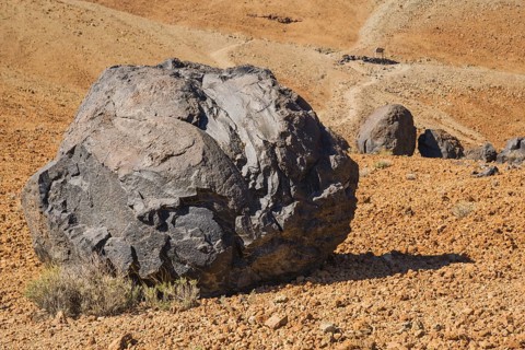 Huevos del Teide