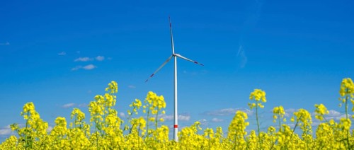 Windpark Tomerdingen