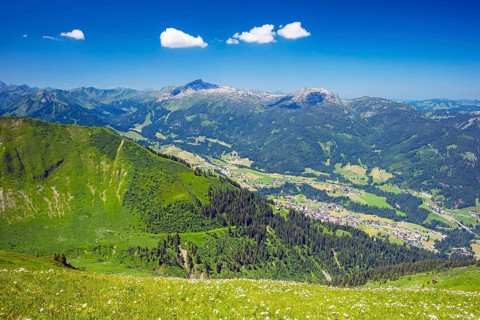 Panorama from the Fellhorn