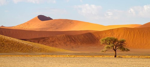 Sand dunes in the morning light