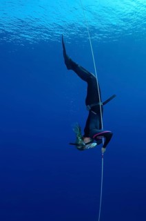 Freediving in the Red Sea