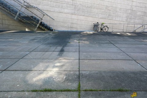 Concrete jungle
