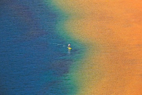 Person with standing paddle in the water