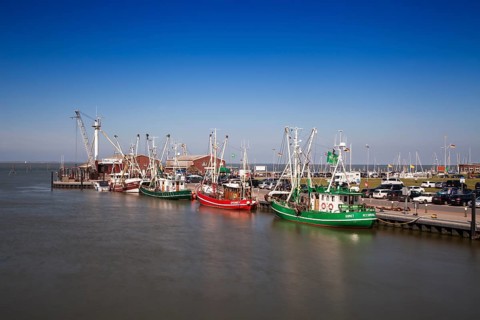 Shrimp boats in the port of Dornumersiel