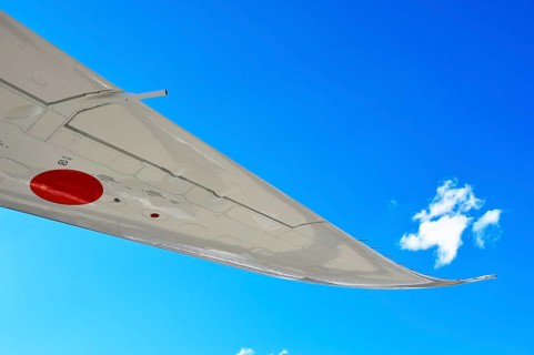 Wing