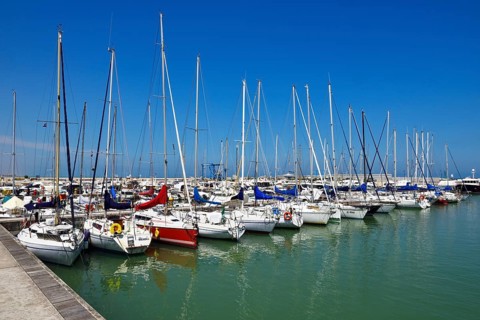 Sailboats in the harbor