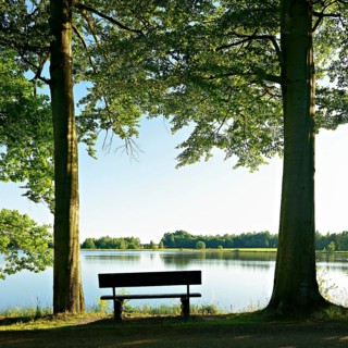 Bench between two beech trees on Neuer Teich pond in Plothen Ponds area