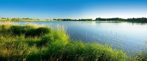 Neuer Teich pond in Plothen Ponds area