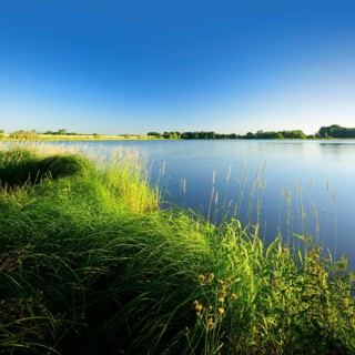 Neuer Teich pond in Plothen Ponds area