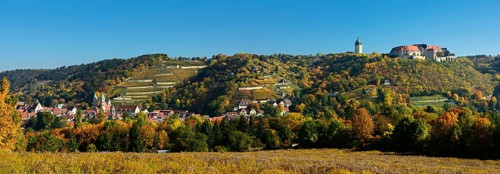 Panorama view of Freyburg with Castle Neuenburg