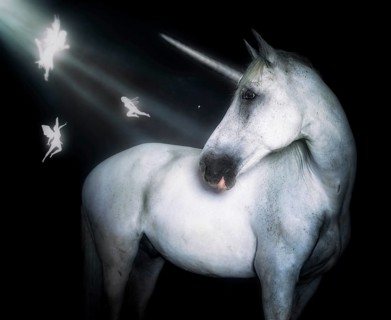 Unicorn