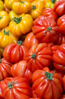 Yellow and red Coeur de Boeuf or Ox Heart Tomatoes