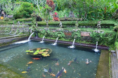 Holy springs at Pura Gunung Kawi Sebatu temple