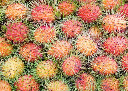 Rambutans