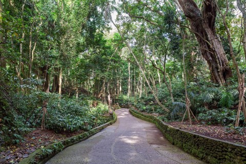 Pura Dalem Agung Padangtegal or Monkey Forest Temple