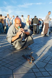 Snake charmer on Djemma el Fna square