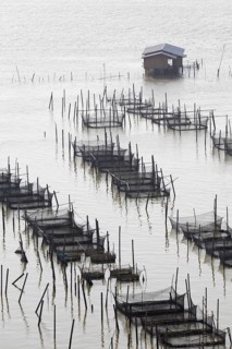 Fish farming