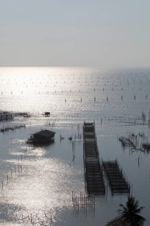 Fish farming