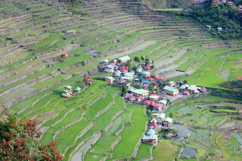 Batad rice terraces