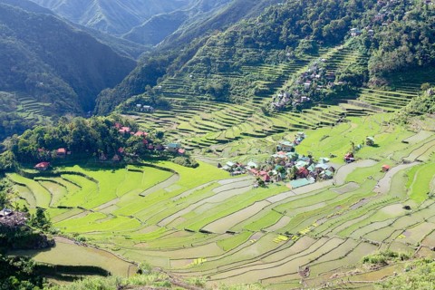 Batad rice terraces
