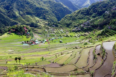 Batad rice terraces
