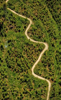 Mountain path at the Hochheide hut