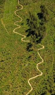 Mountain path at the Hochheide hut