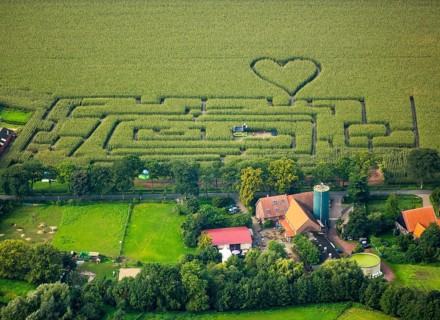 Labyrinth with a heart in the cornfield