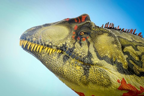 Dinosaur