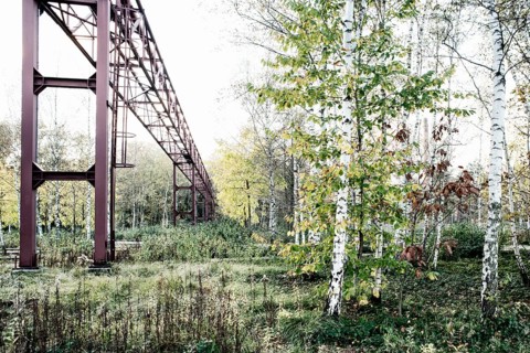 Conveyor and renaturalised colliery in the Ruhr district