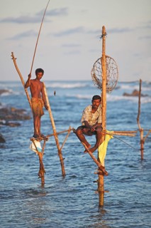 Stilt fishing in the evening sun