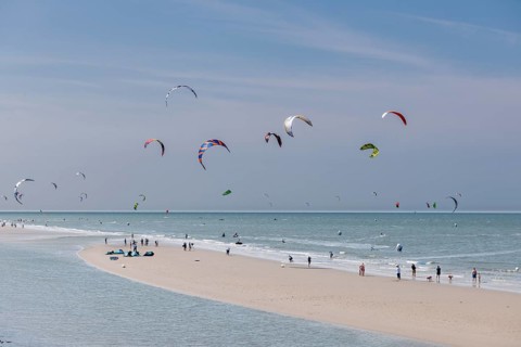 Kitesurfers