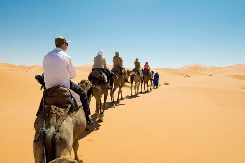 Tourists on camels in desert