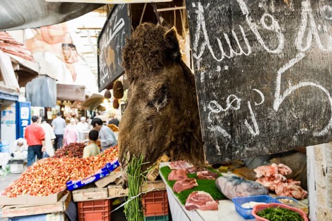 Butcher's with camel meat