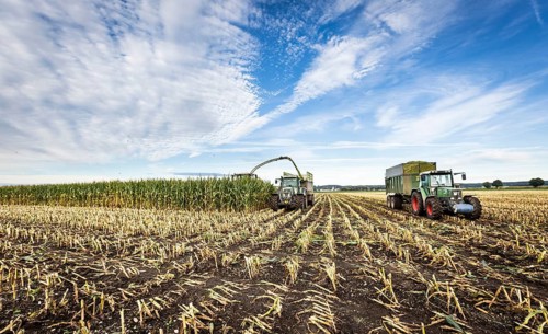 Maize chopper with tractor